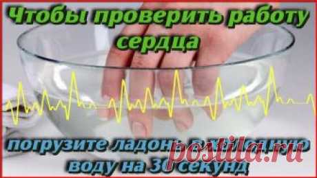 Чтобы проверить РАБОТУ СЕРДЦА погрузите ладонь в холодную воду на 30 СЕКУНД и Вы узнаете что... - 3 Декабря 2018 - Наша Планета Чтобы проверить РАБОТУ СЕРДЦА
погрузите ладонь в холодную
воду на 30 секунд и Вы узнаете
что...
Сердце работает лучше, когда вы расслаблены.
Сердечная мышца сокращается под действием импульсов.
Как правило, ритм сокращений сердца не совпадает с ритмами дыхания или пульса.
За единицу измерения сердечного ритма принимается 1 удар в 1 секунду (или 1 систола).
У взрослого…