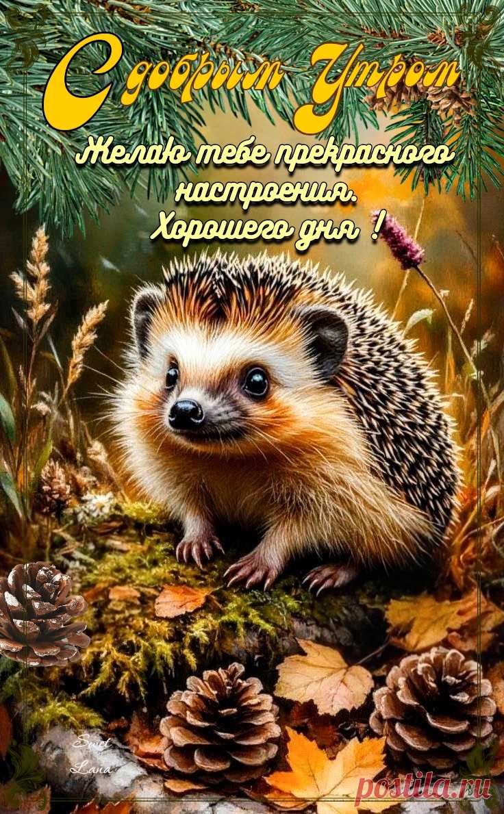 С добрым утром