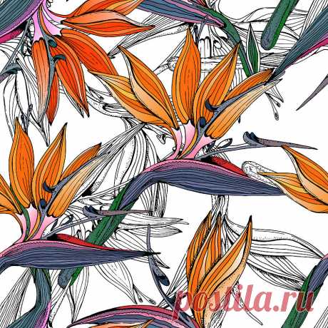 Doodle floral tropical background in vector with doodles colorful seamless pattern. Bright paradise flowers by Marharyta Diemidova Doodle floral tropical background in vector with doodles colorful seamless pattern. Bright paradise flowers Digital Art by Marharyta Diemidova