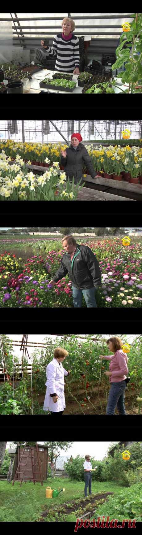 Сад, огород | Дачное видео: первый интернет-канал о Даче и Доме