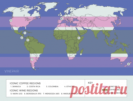 An Interactive Map of the World's Coffee and Wine Growing Regions | VinePair