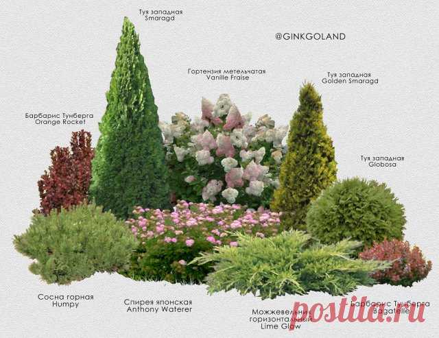Ландшафтный дизайн только с любовью – 8 идей садовых композиций | Идеи дизайна (Огород.ru)