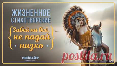 Жизненное стихотворение «Забей на всё, не падай низко»
Забей на всё, не падай низко Будь смелой, радуйся, мечтай! Не принимай всё слишком близко, Да и вообще не принимай. Слова — всего лишь чьё-то мненье, Они не значат ничего. Будь сильной, и меняй решенья По зову сердца своего. Не бойся чувств и слёз не бойся, Плачь если хочешь, не терпи. Но на хорошее настройся, […]
Читай дальше на сайте. Жми подробнее ➡