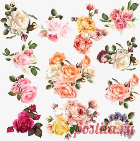 hand-painted flowers More than 3 million PNG and graphics resource at Pngtree. Find the best inspiration you need for your project.