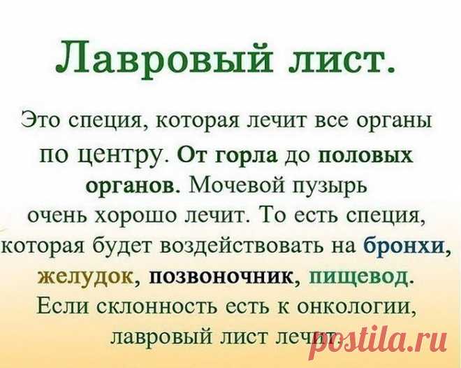 ЛАВРОВЫЙ ЛИСТ В ПОМОЩЬ 

Именно остеохондроз является причиной боли в спине в 80% случаев.

Для тех, у кого застарелый остеохондроз, лучше любых мазей из аптеки помогают средства на основе лаврового листа.

Вот отличные рецепты:
1) Лавровое масло. Залить стаканом оливкового масла 1 ст. ложку мелко нарезанных лавровых листьев и настаивать 15 дней в теплом месте. Лучше всего втирать масло в больные места на ночь, а потом тепло укутываться.

2) Настой. Взять 1 ч. ложку измель...