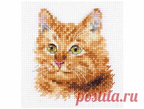 Animal Portraits. Ginger Cat Cross Stitch Kit, code 0-207 Alisa | Buy online on Mybobbin.com