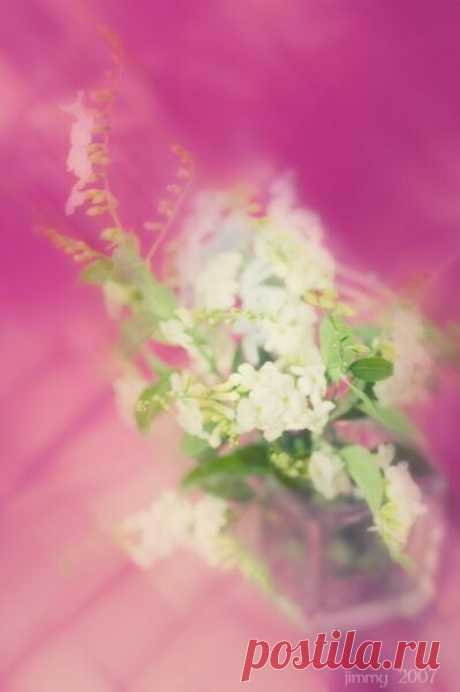 Акварельные цветы Jimmy Grass