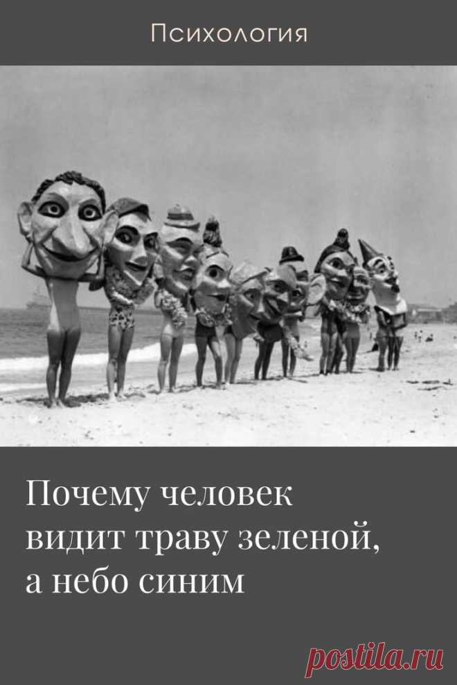 На самом деле не существует ни зеленой травы, ни голубого неба, ни белой или темной кожи тела. Наш мир серый, и есть только бесцветные объекты, которые имеют разную степень освещенности. Мы видим объекты в цвете по той причине, что они просто отражают свет. Зависимо от того, какую часть светового спектра отражает конкр…