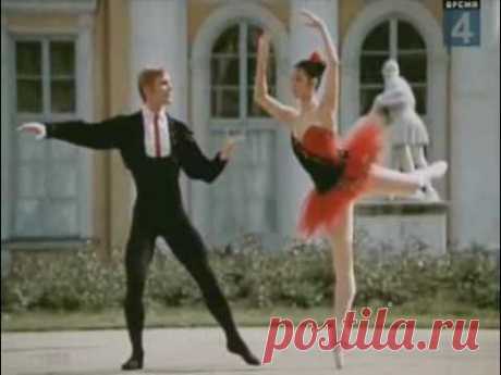 Максимова и Васильев, па-де-де из балета Дон Кихот - YouTube