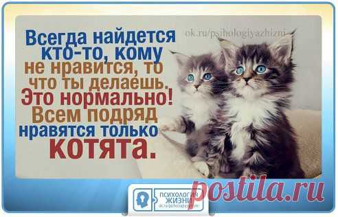 Всегда найдется кто-то, кому не нравится то, что ты делаешь. Это нормально. Всем подряд нравятся только котята.
© Эм Си Хаммер