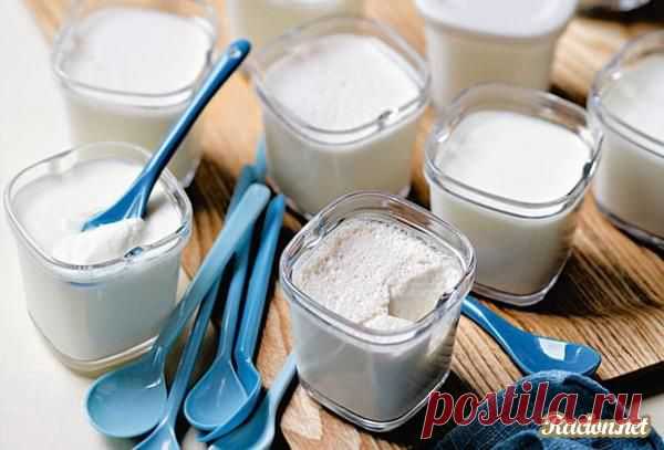 Рецепт Йогурт и творог в домашних условиях в йогуртнице с фото в домашних условиях