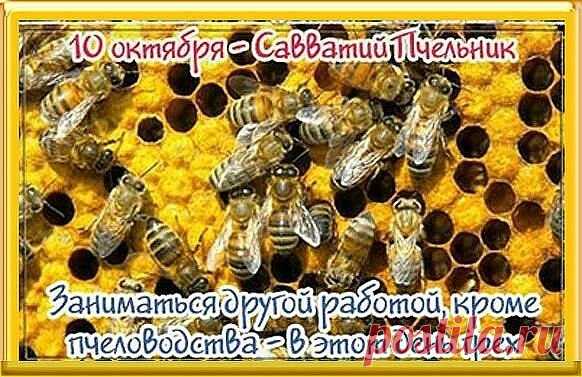 В этот день в старину угощали друг друга мёдом — на счастье и благополучие. Так давайте и мы сделаем день чуть слаще для близких! Пожелаем любви, уюта и достатка. Открытки на День Савватия Пчельника.