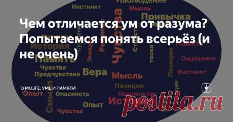 Чем отличается ум от разума? Попытаемся понять всерьёз (и не очень) Статья автора «О мозге, уме и памяти» в Дзене ✍:  В начале пути по развитию канала, желательно было бы начать с базовых понятий. Но не буду притворяться специалистом в этой области.