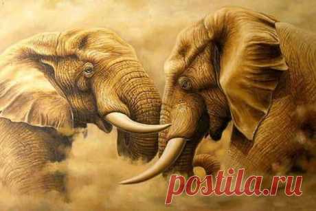 40 Outstanding Oil Paintings of Animals - Tail and Fur Being a painter, it may be possible that you are also an animal lover. So, when you are a painter, it’s obvious that you really love painting. When two of your love mixes together, something powerful is going to come out from you. Yes if you are intelligent enough, you got the thing we are going to say. Actually, painting animals on your canvas is something very interesting and you will feel great when you will start w...