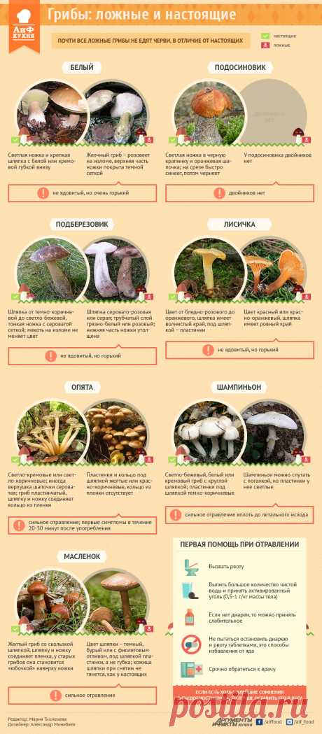 Как отличить съедобный гриб от ядовитого двойника