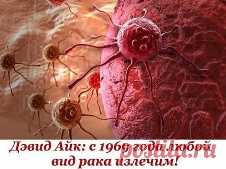 Дэвид Айк: С 1969 года ЛЮБОЙ ВИД РАКА ИЗЛЕЧИМ!
Точки здоровья на наших ладонях 

Нажимая на некоторые точки на наших ладонях, можно повлиять на разные органы.Рак – излечимая грибковая инфекция. Очень похоже на то, что медицинская мафия использует слово «рак», как обманку для последующего массового убийства людей с помощью радио- и химиотерапии. Процедуры эти очень дорогие, но работают хорошо – убивают абсолютно все

Цифры, конечно, впечатляющие. Восемь миллионов людей умир...