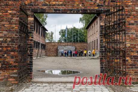 В Освенциме: традиционный Марш жизни в тени новой Катастрофы