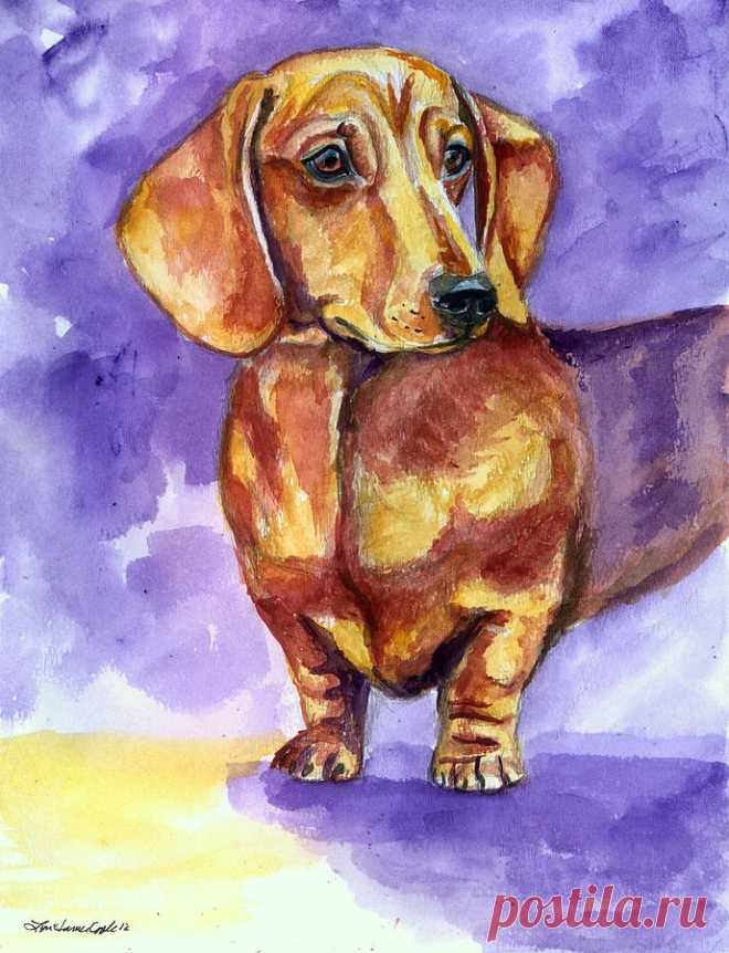 Doxie - Dachshund Dog by Lyn Cook Doxie - Dachshund Dog Painting by Lyn Cook