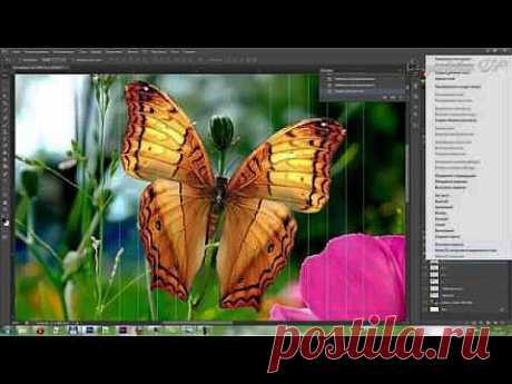 Анимация бабочки в Adobe Photoshop - YouTube