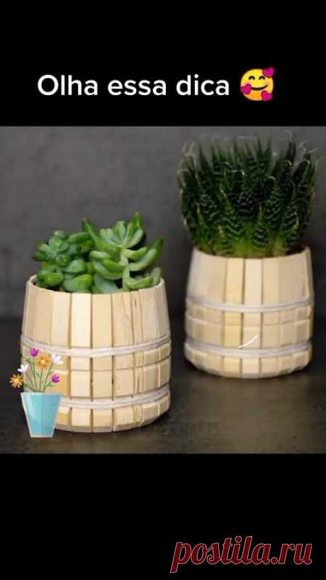 Olha que dica maravilhosa para potinhos de plantas 😍😍#love #garden #... | TikTok