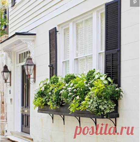 How to Plant a Window Box Like a Pro | Better Homes & Gardens