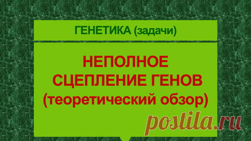 Репетитор Богунова В.Г. | Неполное сцепление генов (теоретический обзор)