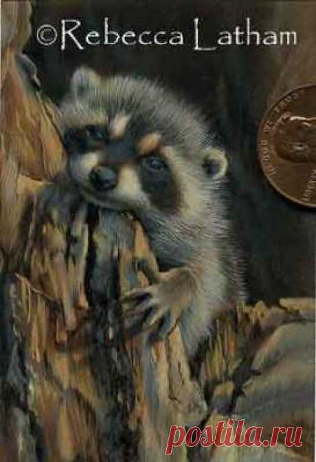 Little Raccoon Painting – Traditional Miniature | Paintings of Wildlife &amp; Nature by Rebecca Latham