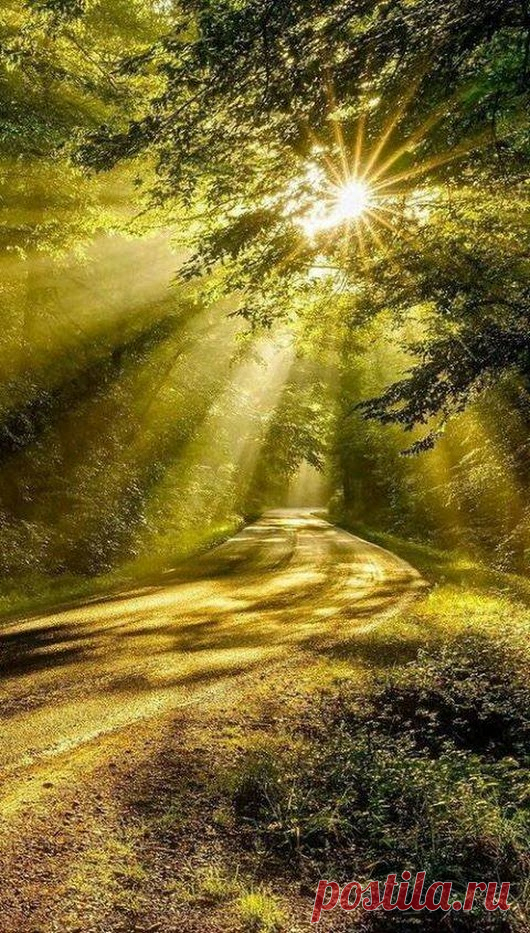 Лучик солнца блеснул из за леса. Лучи солнца. Природа солнце. Тропинка к солнцу. Солнечная дорога.