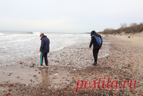 Что ищут люди на берегу Балтийского моря в Зеленоградске: спросила местных и получила неожиданный подарок | Соло-путешествия | Яндекс Дзен