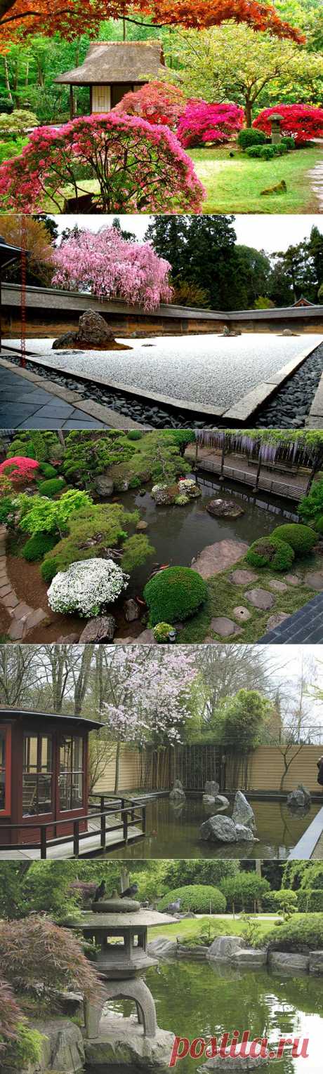 Создаем садик в японском стиле | Дачный участок