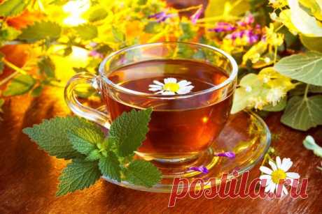 Травяные чаи: рецепты. Витаминные, пряные и вкусные чаи