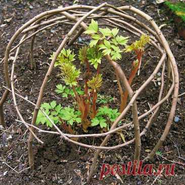 30+ Garden Projects using Sticks and Twigs