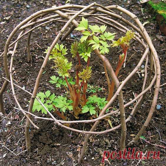 30+ Garden Projects using Sticks and Twigs