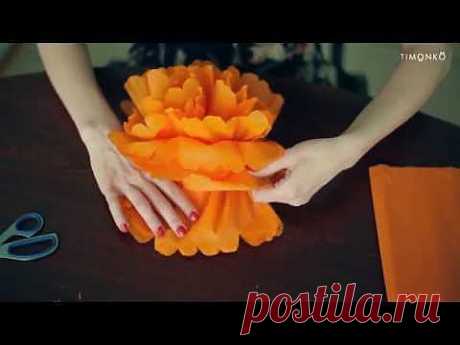 видео мк по изготовлению бумажных помпонов для украшения праздников и фотосессий