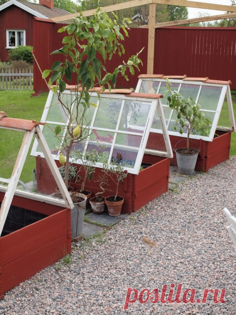 Greenhouses from Repurposed Windows • 1001 Gardens