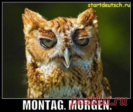 Montag / Изучение немецкого языка