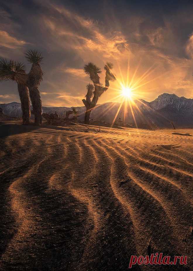 coiour-my-world:
“The Coming Sands ~ Marc Adamus
”