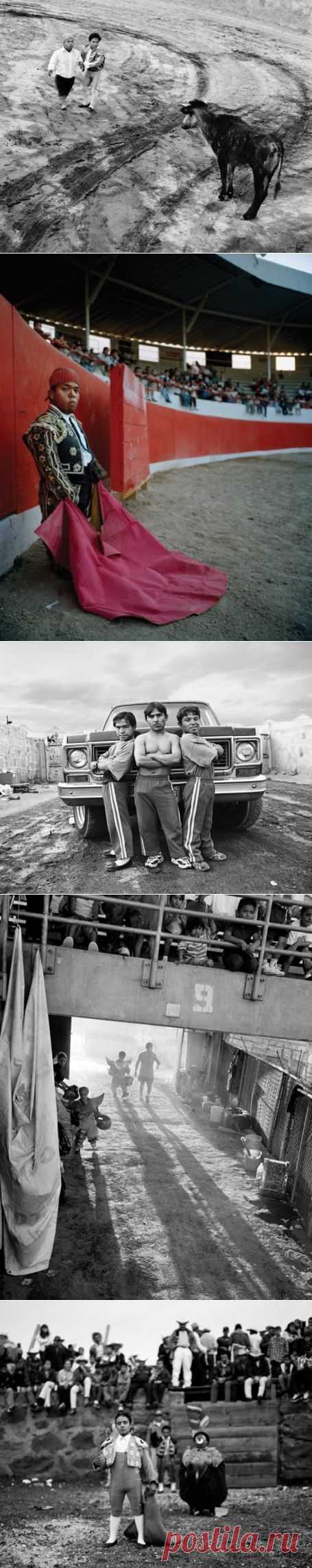 ФотоТелеграф » Мексиканские карлики-тореадоры