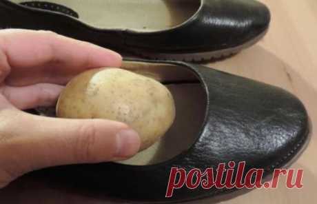 Зачем опытные хозяйки кладут чищенную картошку в обувь: совет, который пригодится каждому . Милая Я