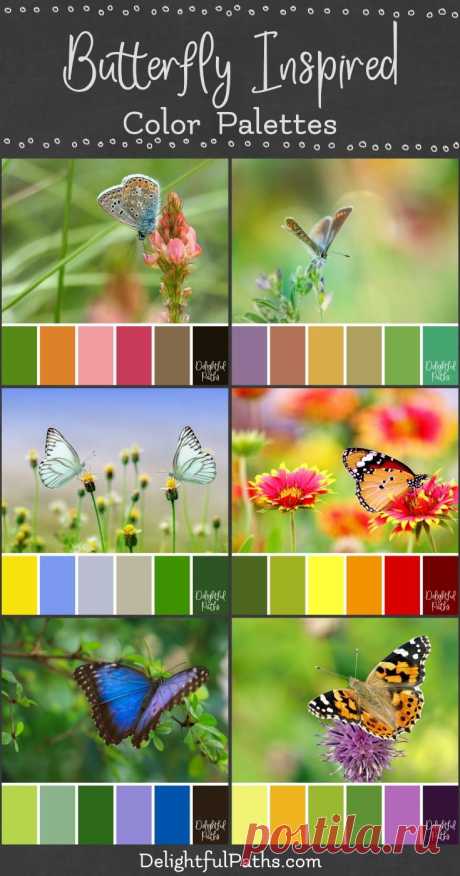 Butterfly Inspired Color Palettes - Delightful Paths Beautiful butterfly inspired color palettes from images of flowers and butterflies. These color schemes are bright and cheery.
