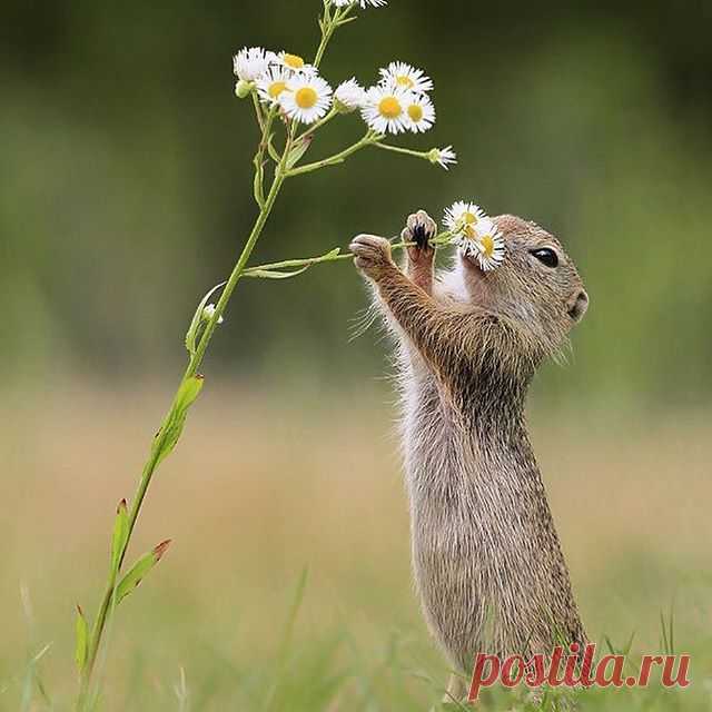 Caption this Photo

Photo by © @julianradwildlife