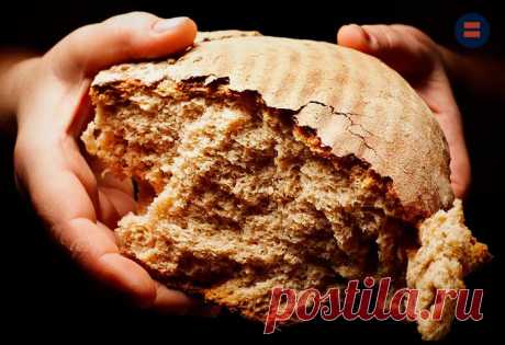 Не из муки, а из мухи: в России начали печь хлеб с использованием насекомых | НОВЫЕ ИЗВЕСТИЯ | Дзен