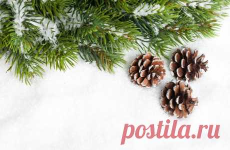 Конусы, филиал, иглы, дерево, сосна, снег, новый год, Рождество, новый год, Рождество вектор - ForWallpaper.com