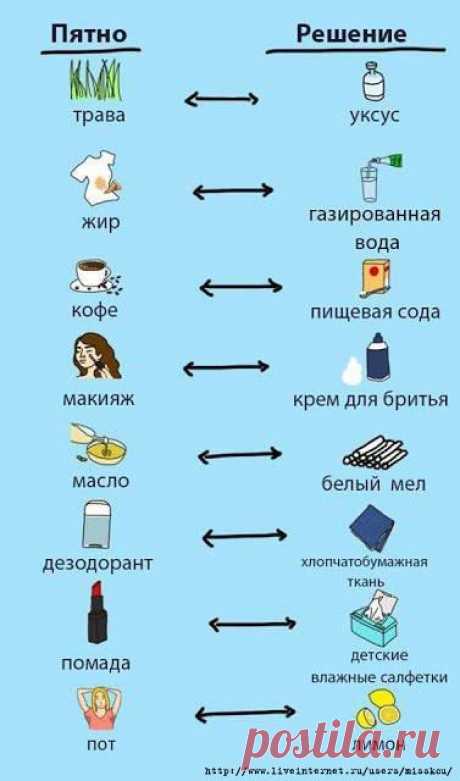 Инфографика полезных советов и заметок Информационные заметки в инфографике и таблицах разной тематики, таких как здоровье, красота, природа, полезности в быту и на кухне, продукты, еда и…