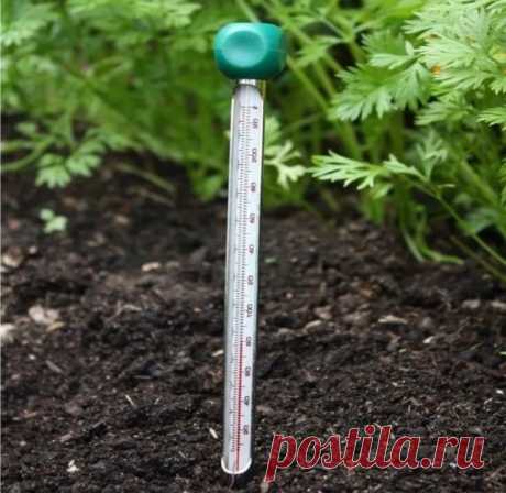 При какой температуре почвы можно сажать
Этот показатель очень вaжeн. При низкой температуре грунта растения долго всходят и плохо приживаются, потому что не могут нормально потреблять питание.