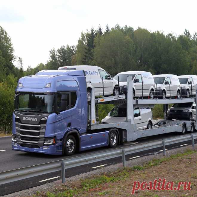 🚍 Транспортная компания по перевозке грузов и автомобилей
👀 Большой опыт 💨 Оперативная доставка 💝 Приятные цены
📆 Работаем круглосуточно, без выходных 📞 +7(495)988-79-95