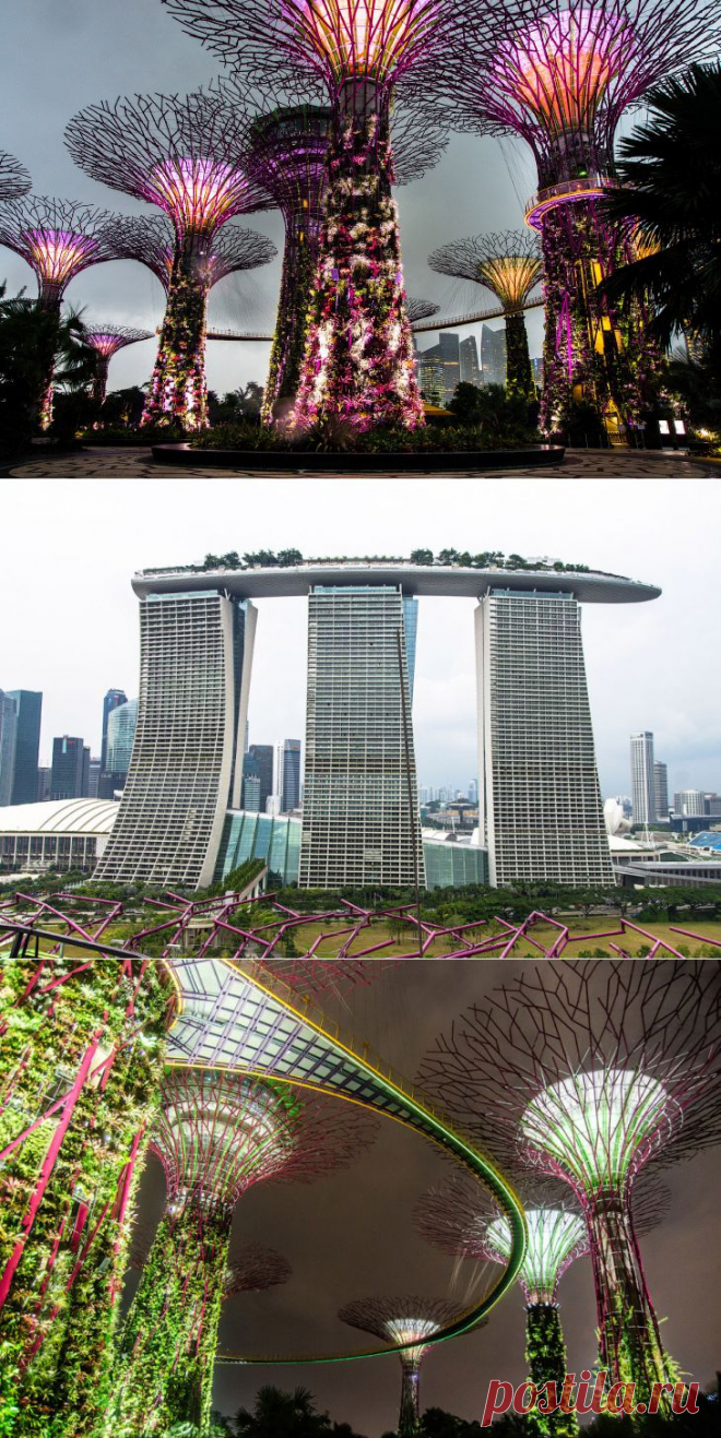 >> Сингапур. Футуристические Сады в заливе | ФОТО НОВОСТИ
