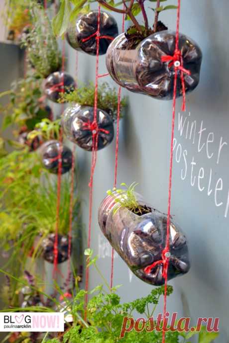 Beautiful Bottle Gardens That Will Make You Beam - Bored Art