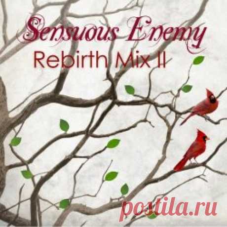 Sensuous Enemy - Rebirth Mix 2 (2024) [Single] Artist: Sensuous Enemy Album: Rebirth Mix 2 Year: 2024 Country: USA Style: Darkwave, EBM, Synthpop