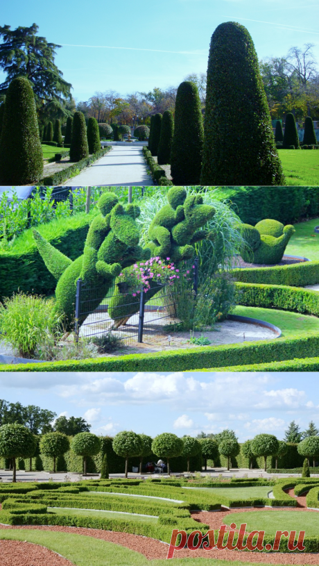 Парки в Мадриде — парк Эль Ретиро и Ботанический сад Пуэрта Алкала, Чуэка и Маласанья | Туризм в Испании